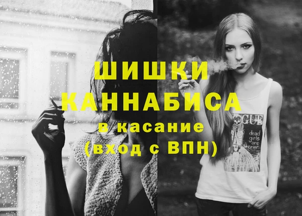 винт Горняк