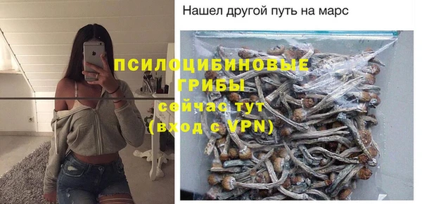 прущая мука Вяземский