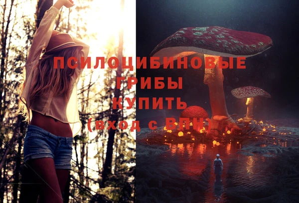 марки lsd Горнозаводск